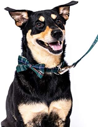 Škotski tartan Bowtie Dog ovratnik i povodac s odvojivim kravatom za luk za djevojčice ili dječačke pse udoban uzorak karira, potpuno