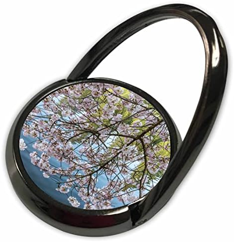 3Drose Portland, Oregon. Cvjetajuće stablo trešnje, Crystal Springs. - Telefonski prstenovi