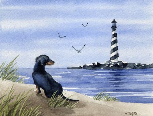 Jazavnica na plaži Art Print by akvarel umjetnik DJ Rogers