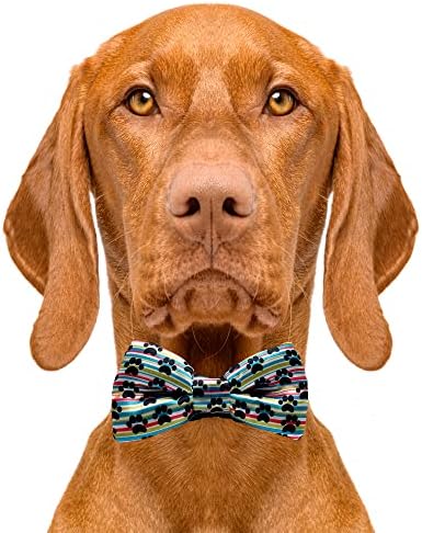 Cutie kravate pseće kravate crna suncokret-2 x 4 vrhunske kravate luka za pse-fancy pseće kravate s klizanjem preko elastičnih traka-rezana