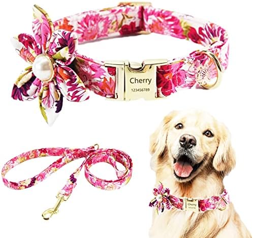 Djevojčica za pse i povodce, cvjetni ovratnik za pse s personaliziranom zlatnom kopčom, prilagođeni ogrlica za pse za male srednje