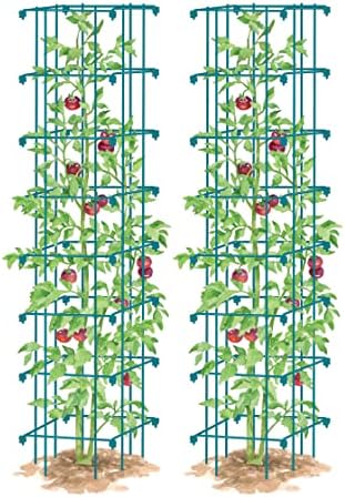 Vrtlari za opskrbu četvorkim teškim mjeračem ekstra visok lagani kavez rajčice | Jednostavni za sastavljanje biljnih podrška kavezi
