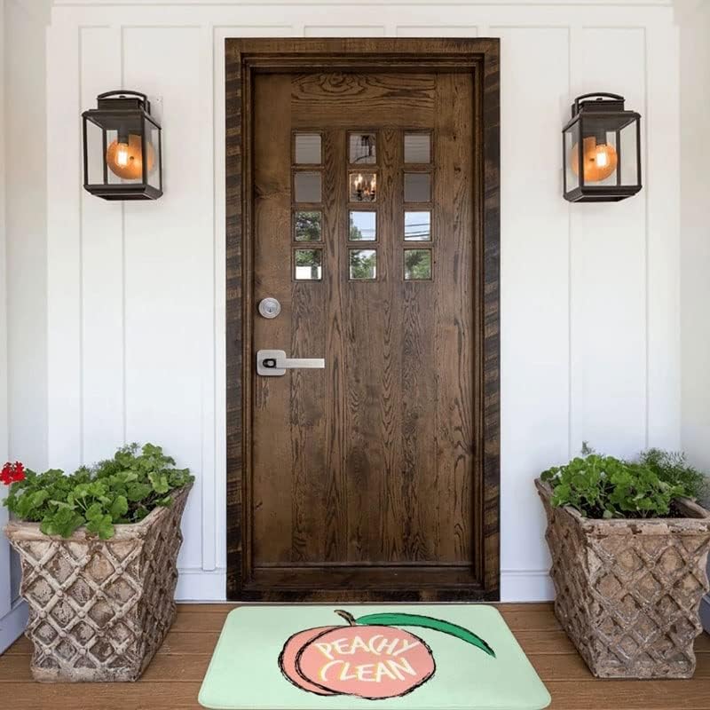 SDFGH BESCHY Clean Polyester DoorMat prostirka tepiha tepiha non-klizav izdržljivi ulaz za ulaz u odjeću kuhinja