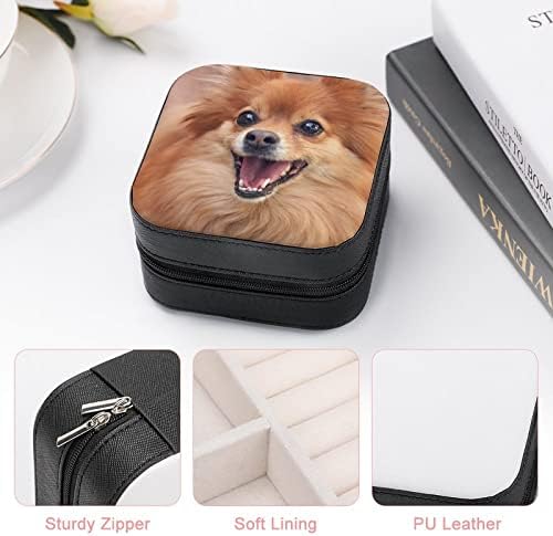 Pomeranski pas za žene Premium putovanja Mali nakit Ogrlica Organizator za skladištenje Mini zaslon kućište