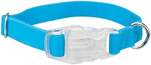 Sigurniji život Easy Flash Collar s bljeskalicom, L-XL: 40-65 cm/25 mm, neon plava