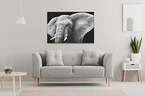 Akrilni moderni zidni umjetnički slon - Životinje u divljim crno -bijelim serijama - Moderni dizajn interijera - Akrilna zidna umjetnost